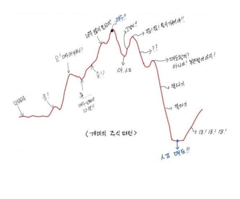 주식 패턴~ | 보배드림 국산차게시판