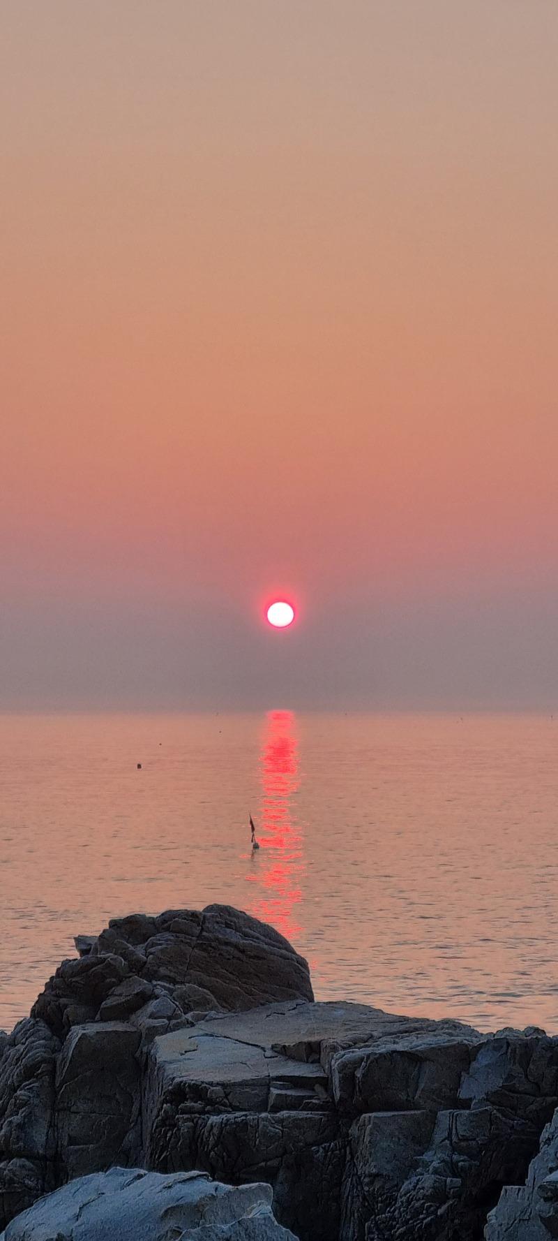 20230730_053813.jpg