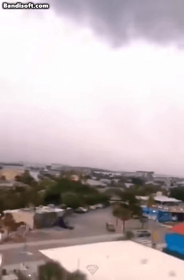 fly21692603080_696026232.gif