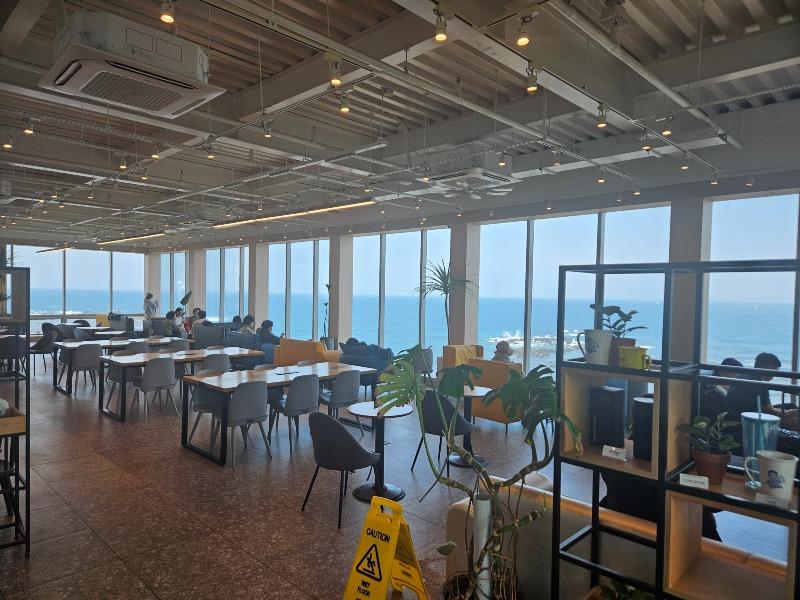 제주 빽다방 | 보배드림 국산차게시판