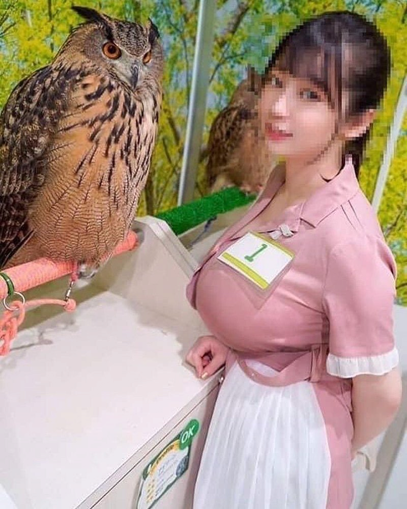 32658762_R7yesflN_6d0ee72c88c6ff0043d93b66763c41db8e4dd3c8.png