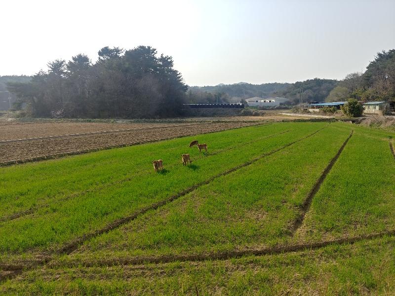20250408_162430_HDR.jpg