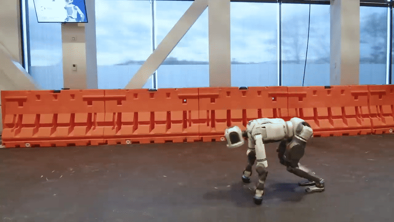 6891_12038_4334.gif