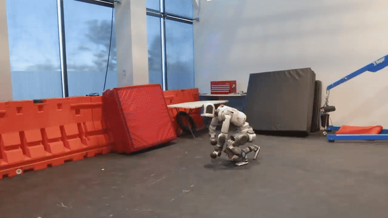 6891_12037_4319.gif