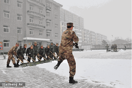 IMG_2477.gif