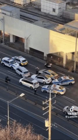 NISI20250415_0001818437_web.gif