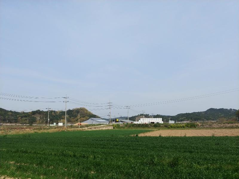 20250419_092106.jpg