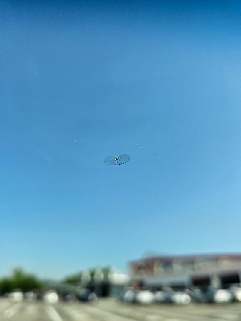 20250426_150111.jpg