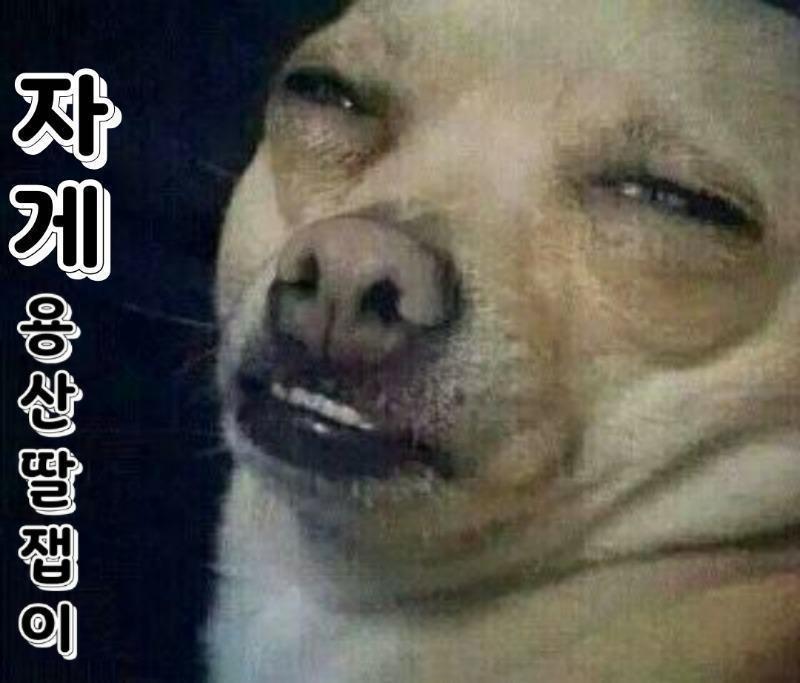 KakaoTalk_20250411_220850114.jpg