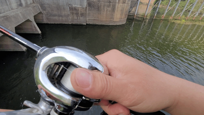1000054403.gif