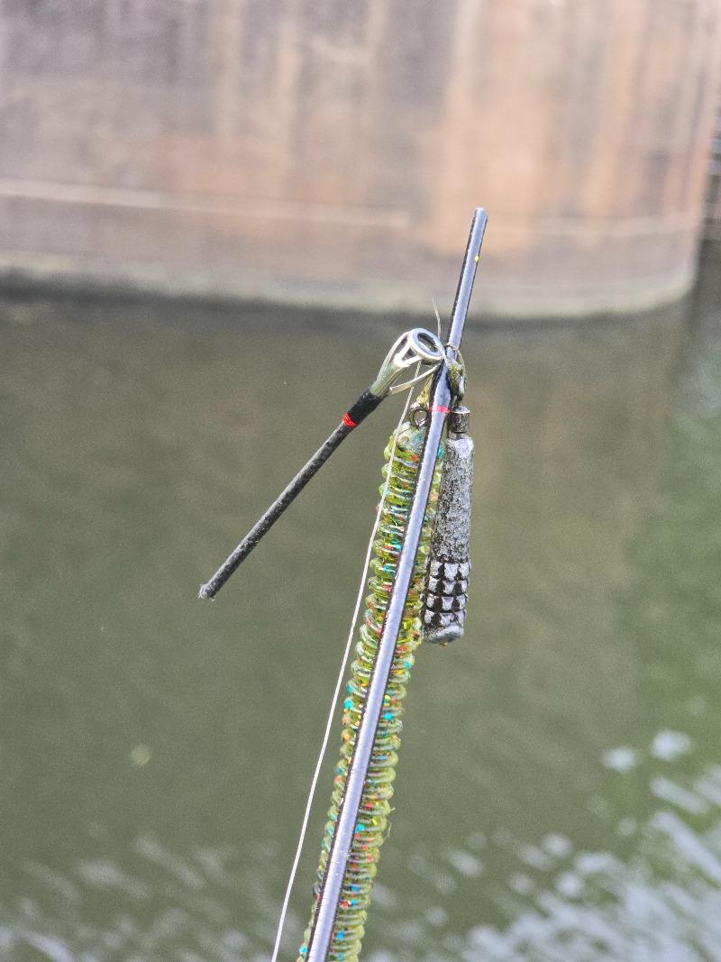 1000054399.jpg