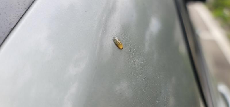 20250501_090336.jpg
