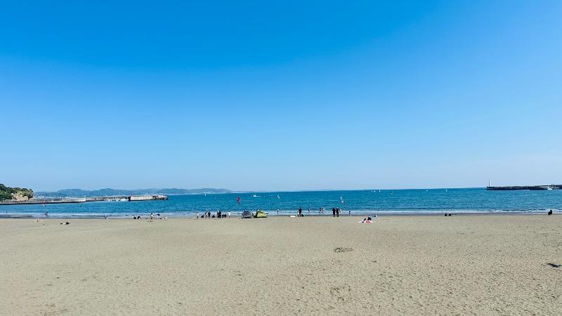 IMG_8393.jpeg