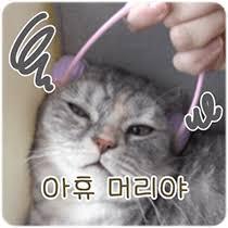 IMG_8479.jpeg