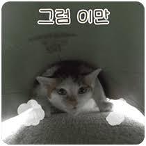 IMG_8477.jpeg