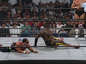 1000003194.gif