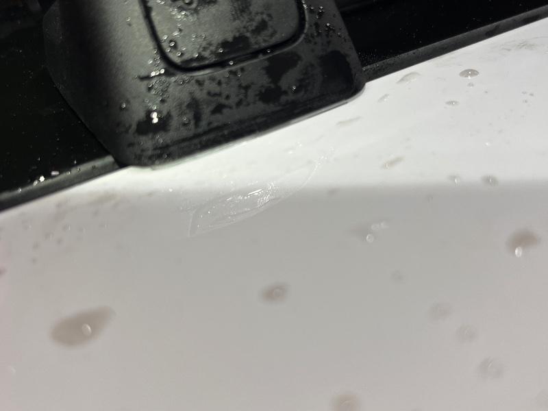 IMG_6600.jpeg