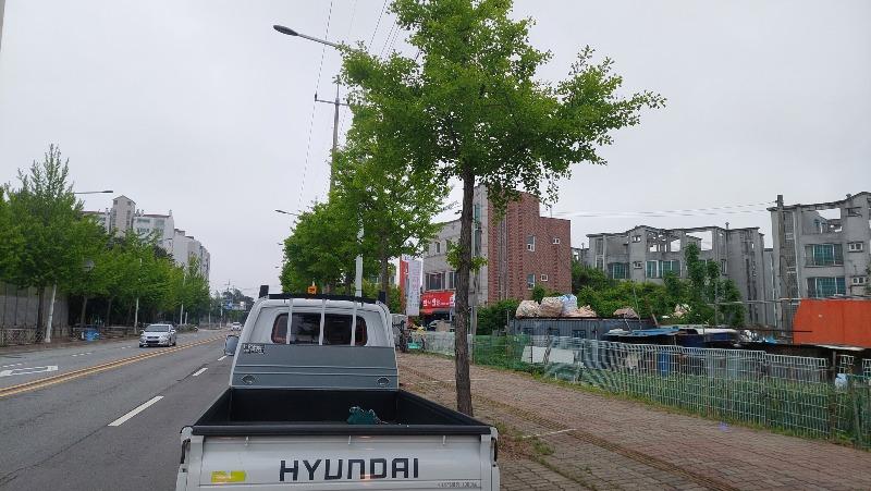 20250515_111553.jpg