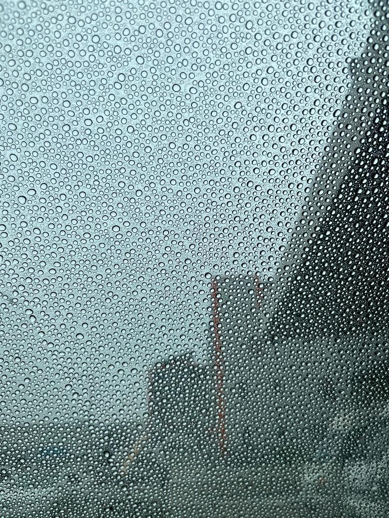 IMG_4770.jpeg