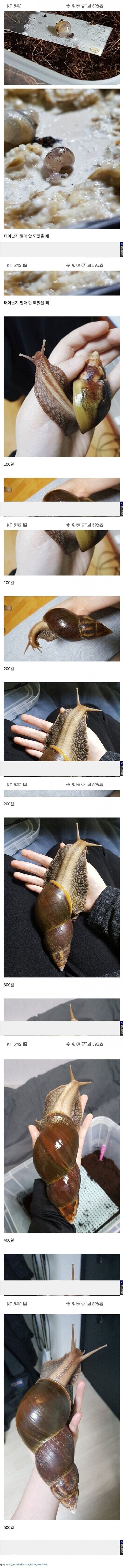 1000055357.jpg