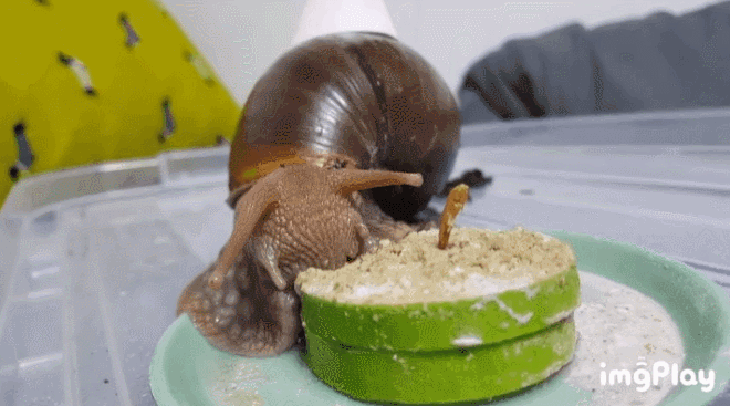 1000055359.gif