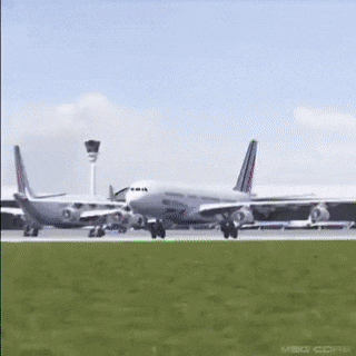 lele1652950847_1347845797.gif
