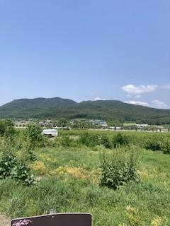 IMG_3464.jpeg