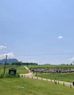 IMG_3467.jpeg