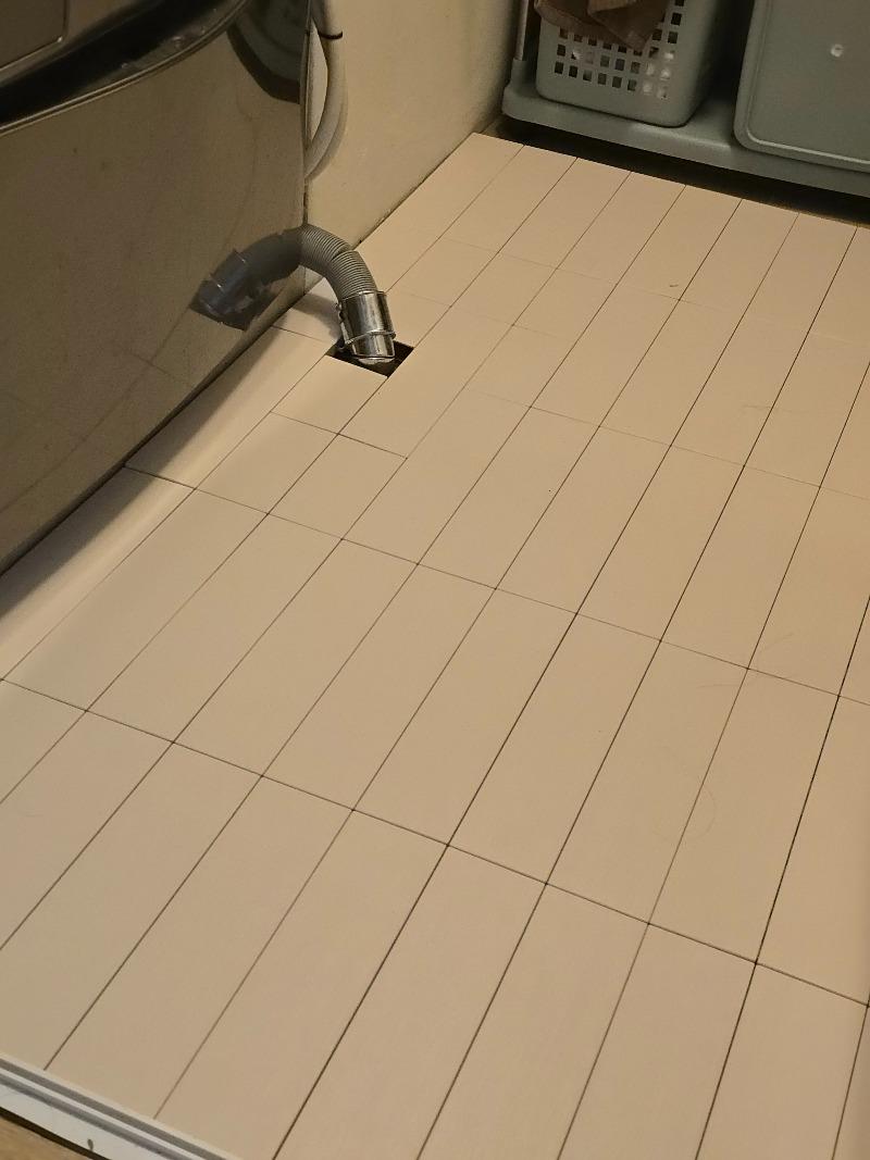1000056307.jpg