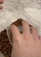 IMG_2010.gif