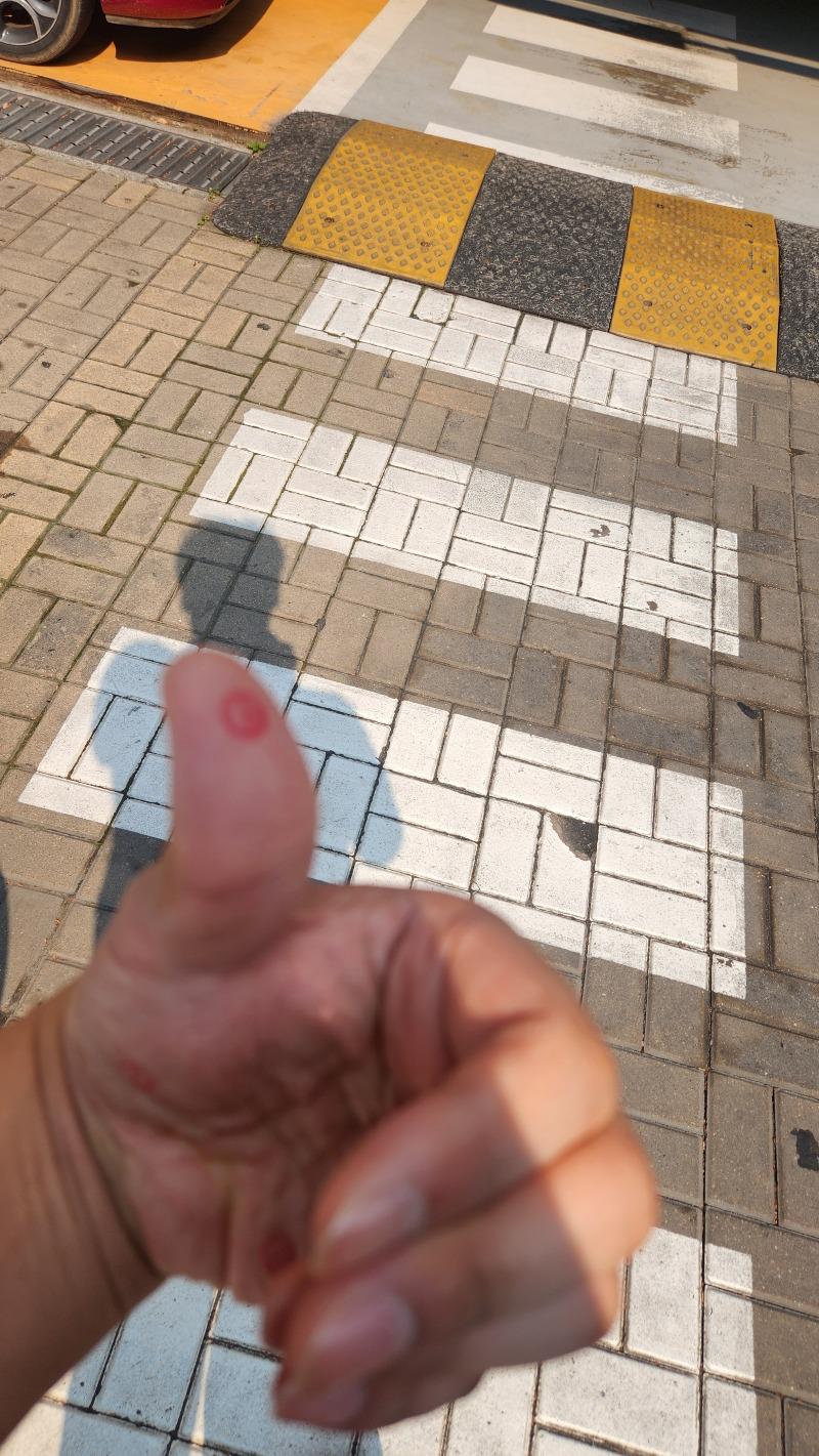 1000038580.jpg