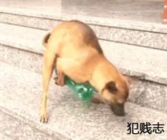 GQkJ1750828030_143830307.gif