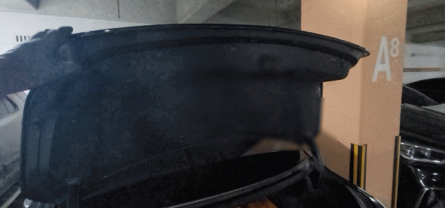 GIF.gif