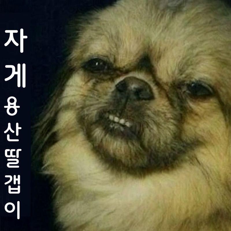 자게용산딸갭이.jpg