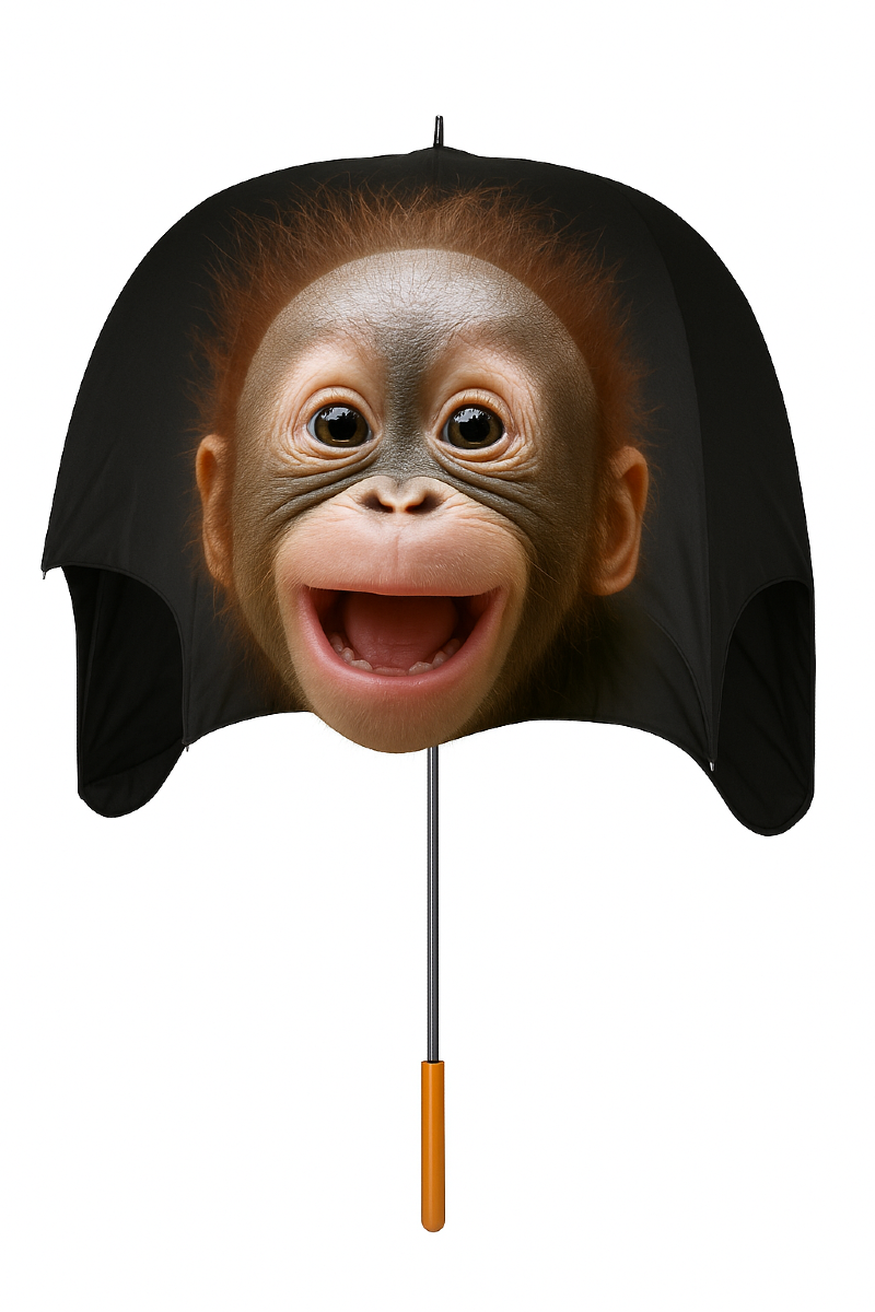 966BAB38-D371-4C24-9D88-CEBCAE930055.png