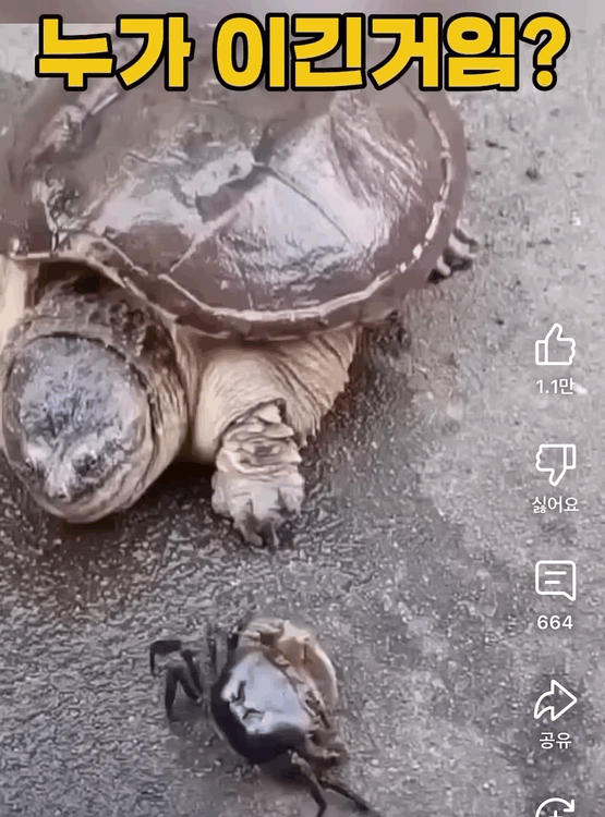 IMG_7249.gif