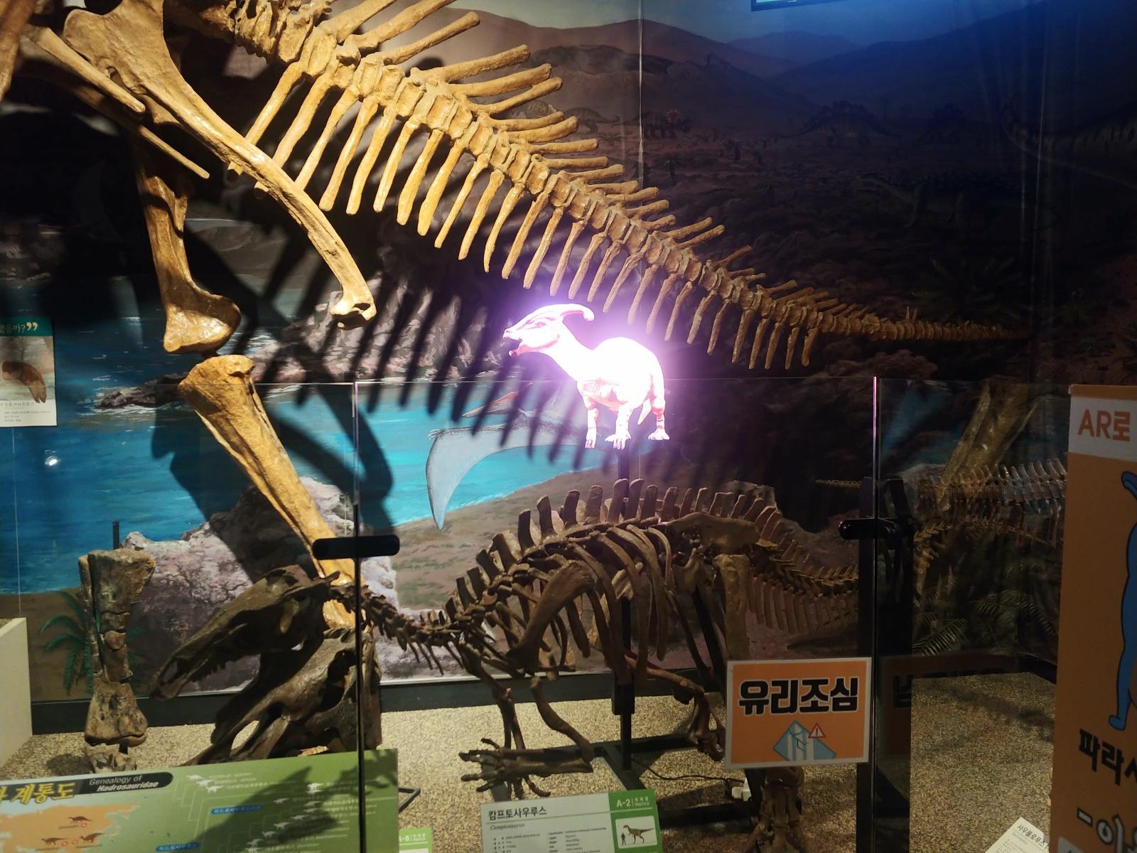 20250713_155130.jpg