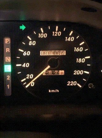 videotogif_2025.07.16_11.10.45.gif