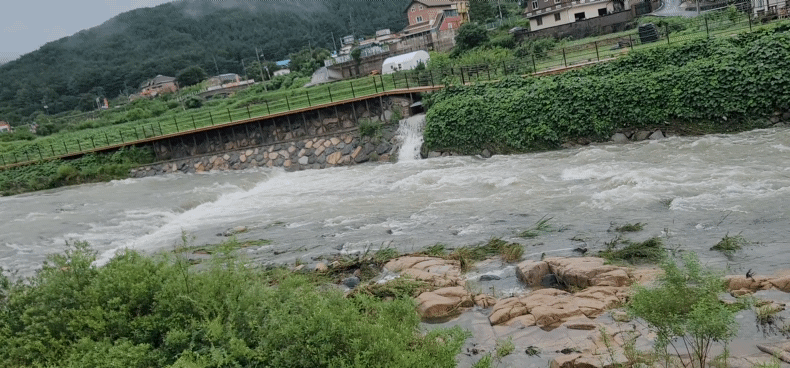 20250719_102309_1.gif