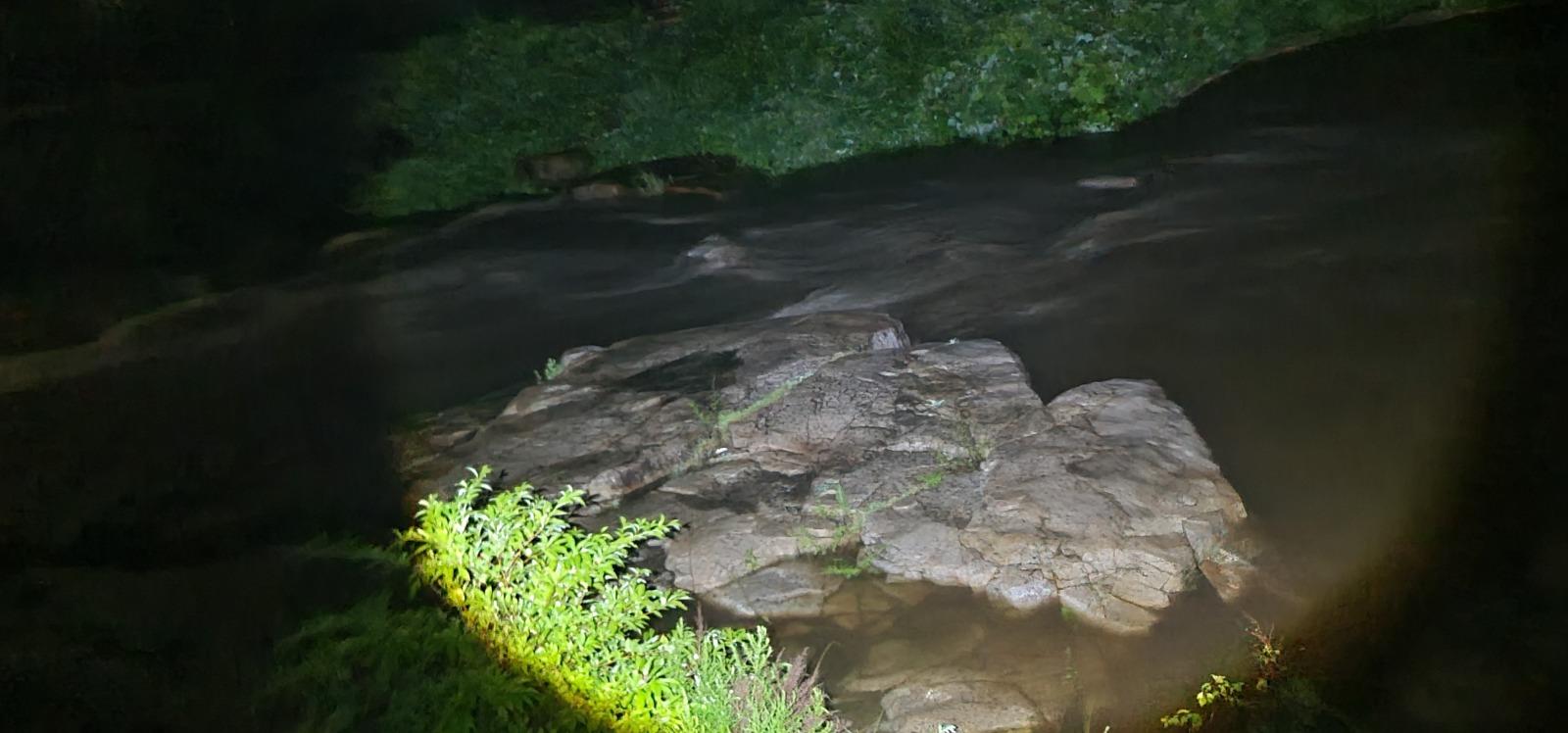 20250719_002537.jpg