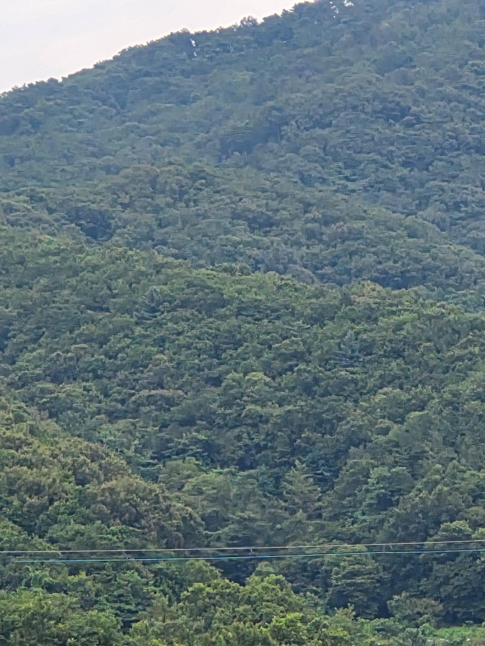 20250730_181614.jpg