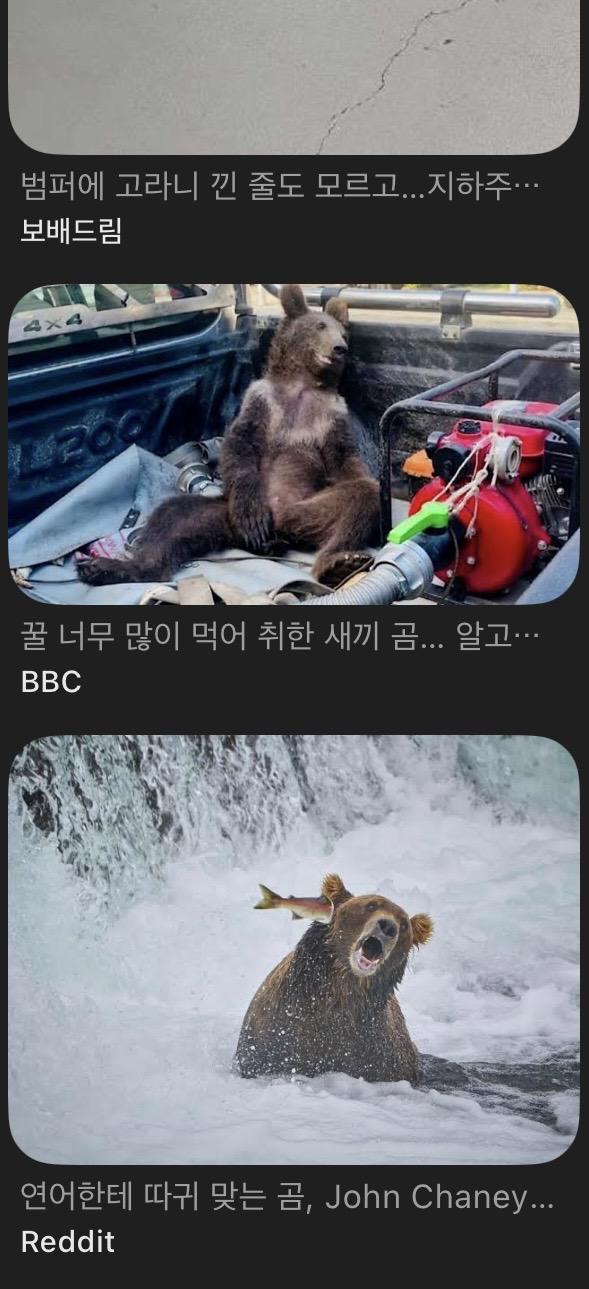 IMG_2521.jpeg