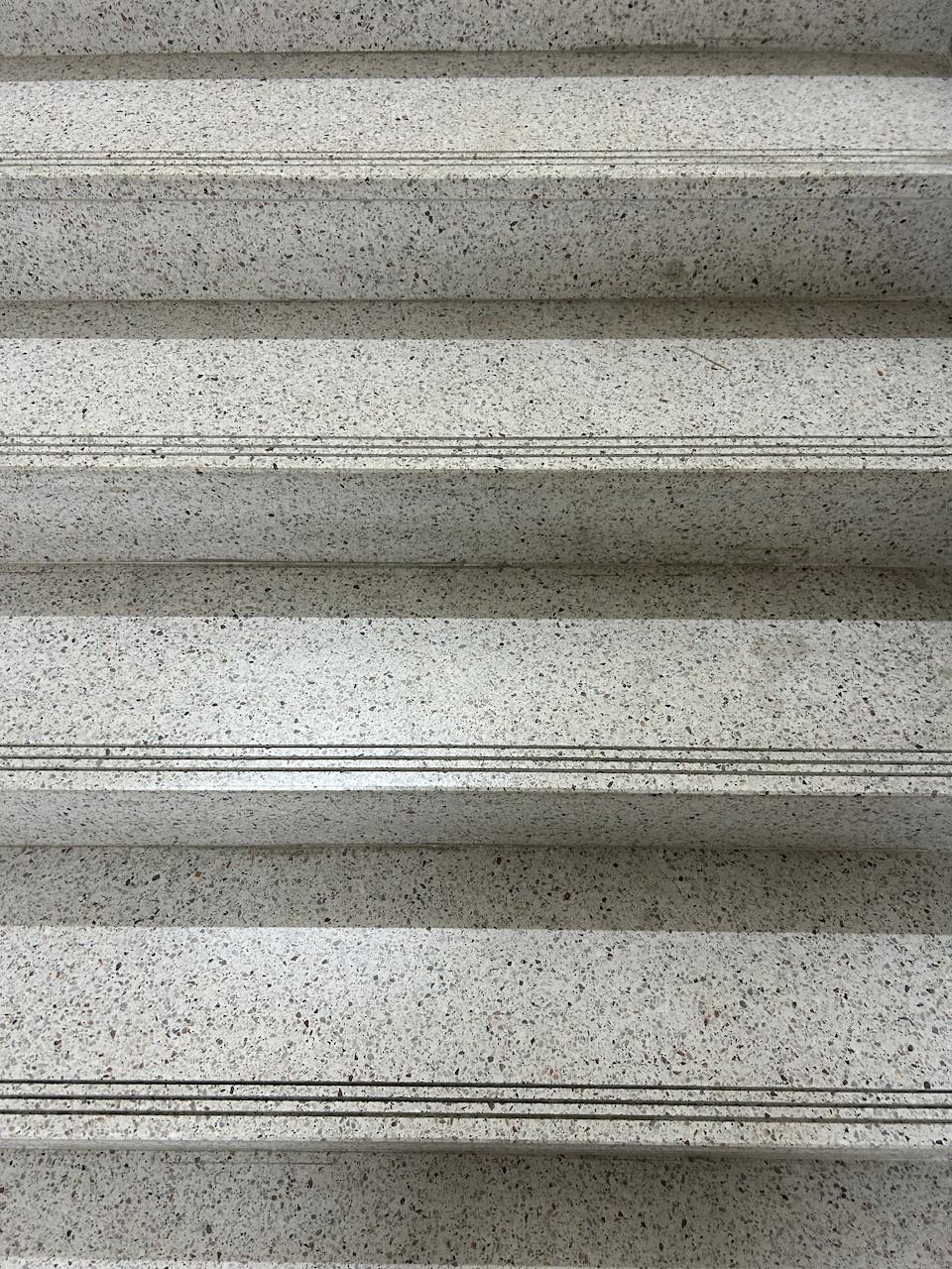 IMG_8086.jpeg