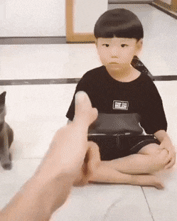 1596009630.gif