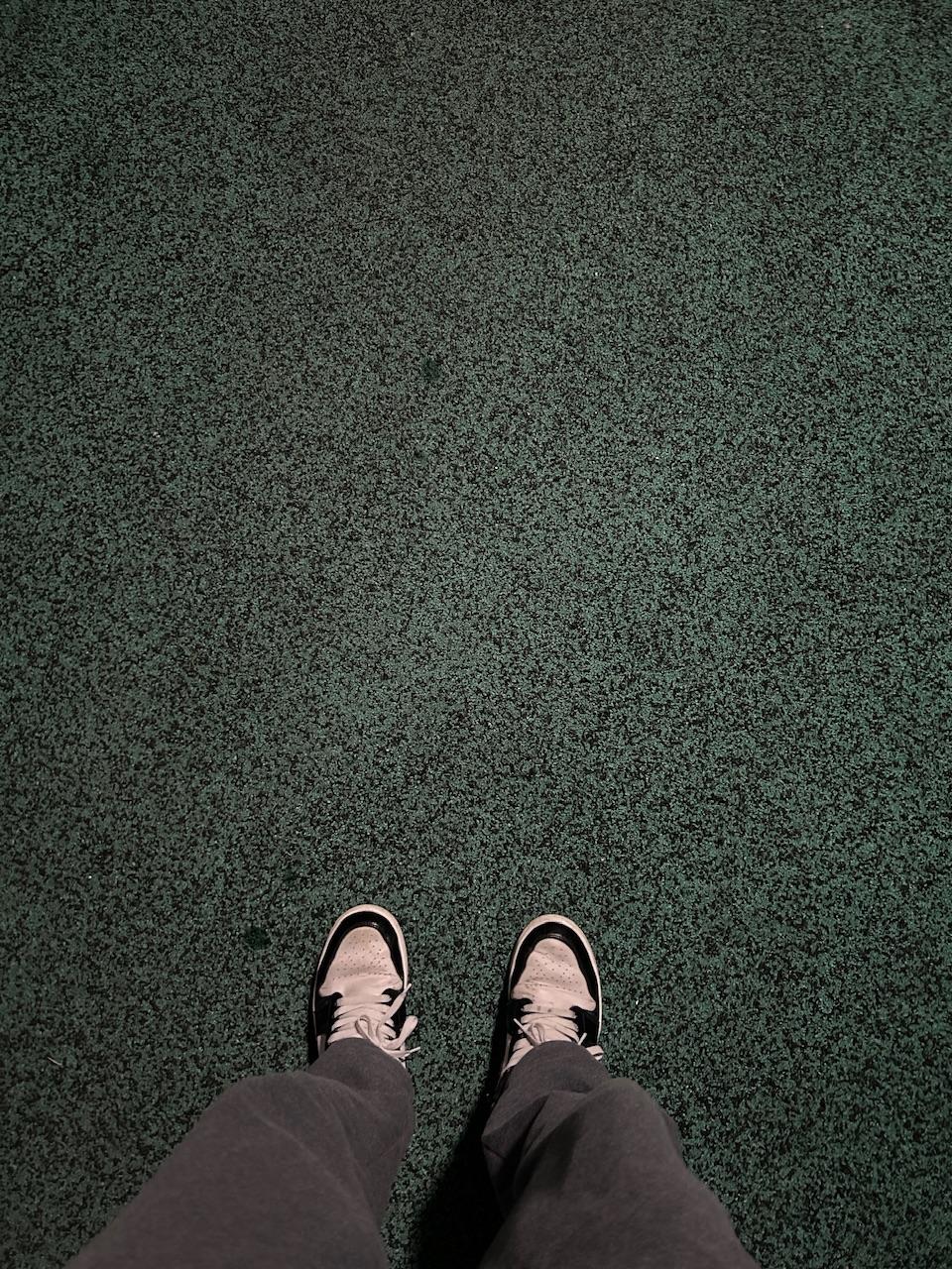 IMG_8100.jpeg