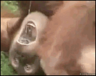 IMG_7360.gif