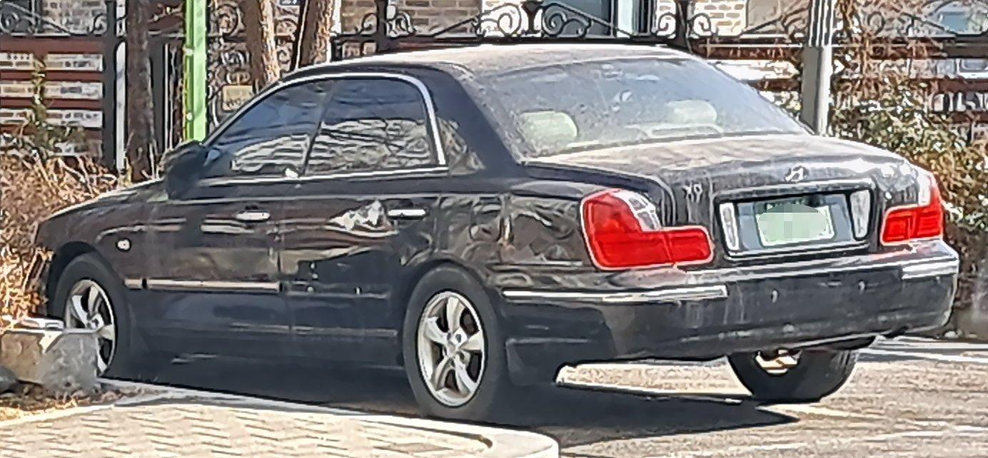 gernder xg (2).jpg