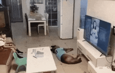 1606196942.gif