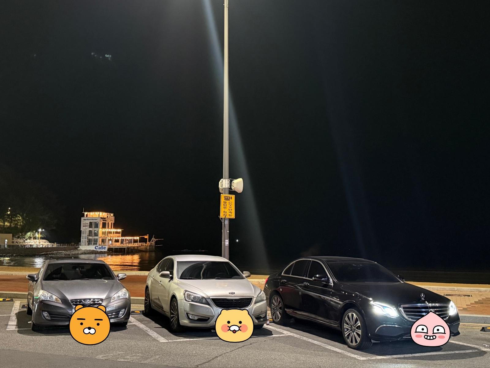 IMG_7619.jpeg
