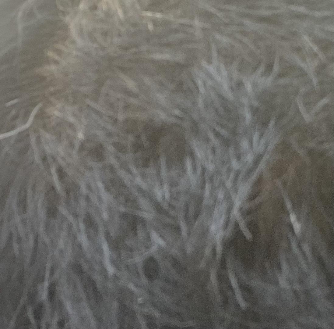 qwer1771130166_777813586.jpg